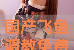 国产调教在线播放,揭秘在线播放背后的激情与魅力